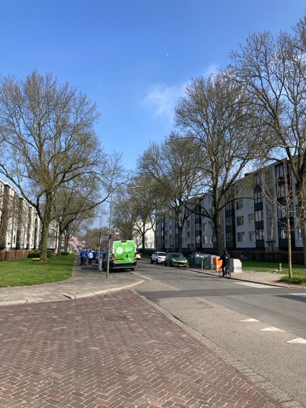 Foto 11 van Groen van Prinstererweg 279