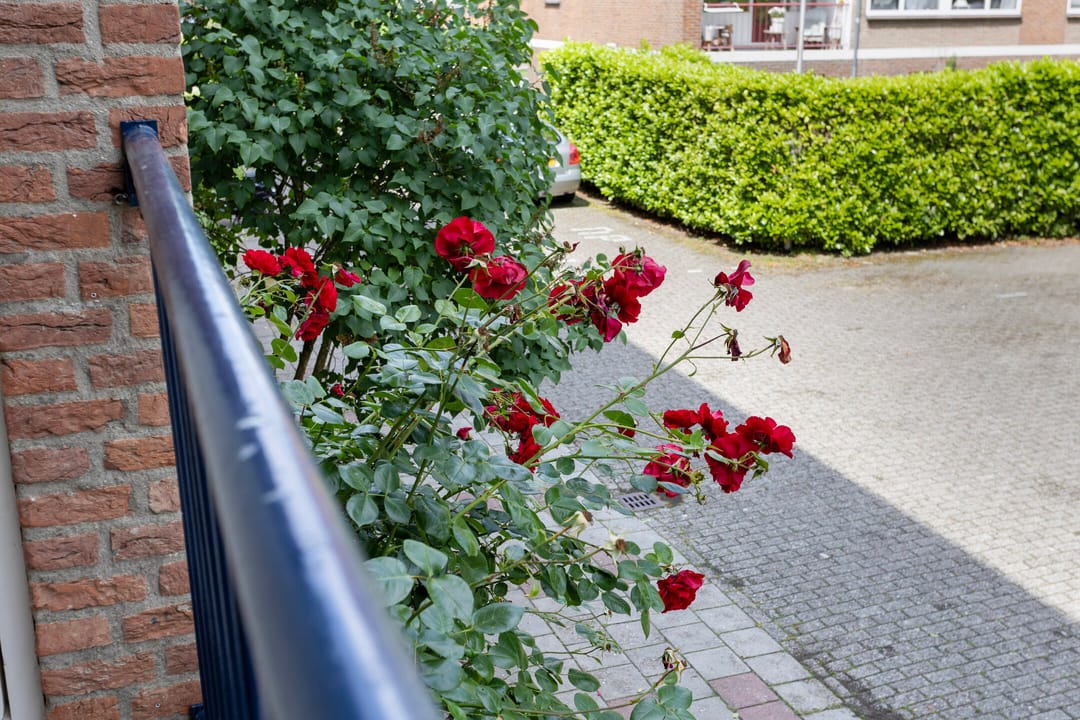 Photo 17 of Beethovenweg 13-A