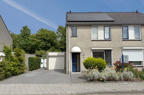 undefined main image