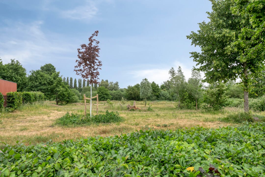 Foto 28 van Louis Couperuslaan 31