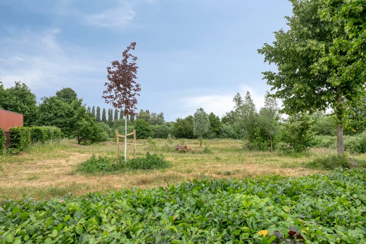 Foto 28 van Louis Couperuslaan 31