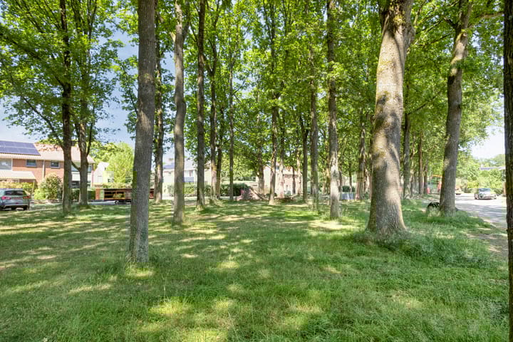 Foto 40 van Iepenlaan 21