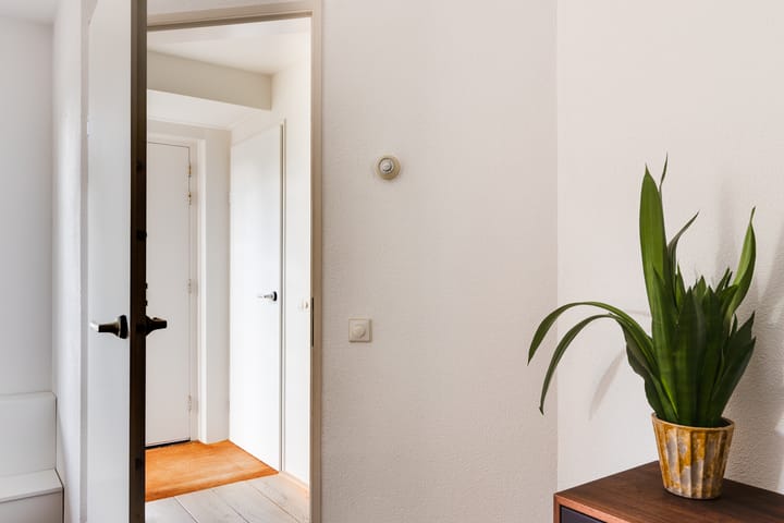 Photo 28 of Anton Mollemanhof 7