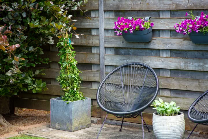 Photo 52 of Anton Mollemanhof 7