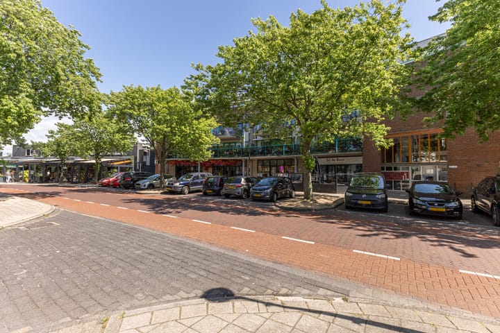 Foto 29 van Ruysdaelstraat 73