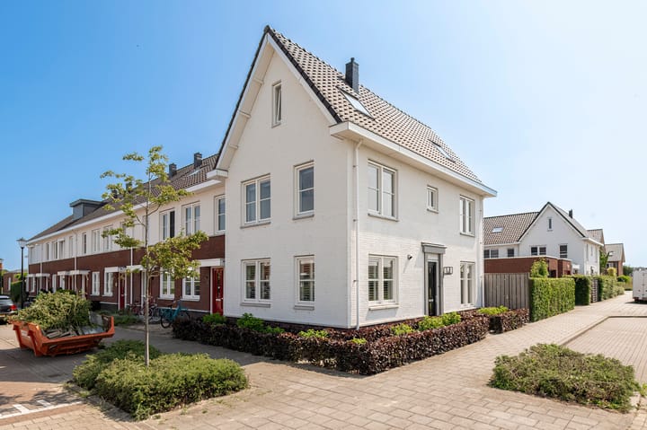 Foto 37 van Riek van Haarenstraat 1