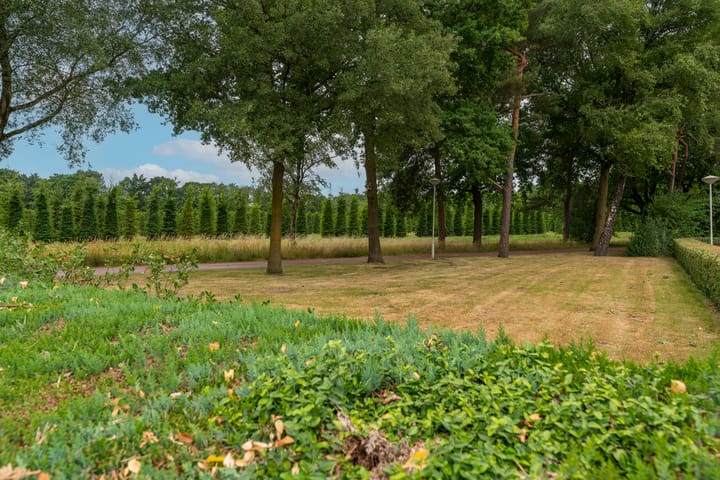 Foto 38 van Vliegheuvel 19