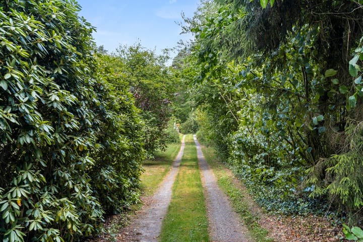 Photo 17 of Hertogweg 11-A