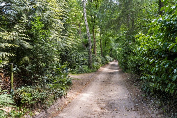 Photo 16 of Hertogweg 11-A