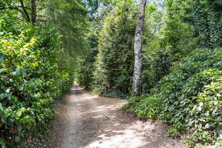 Photo 15 of Hertogweg 11-A