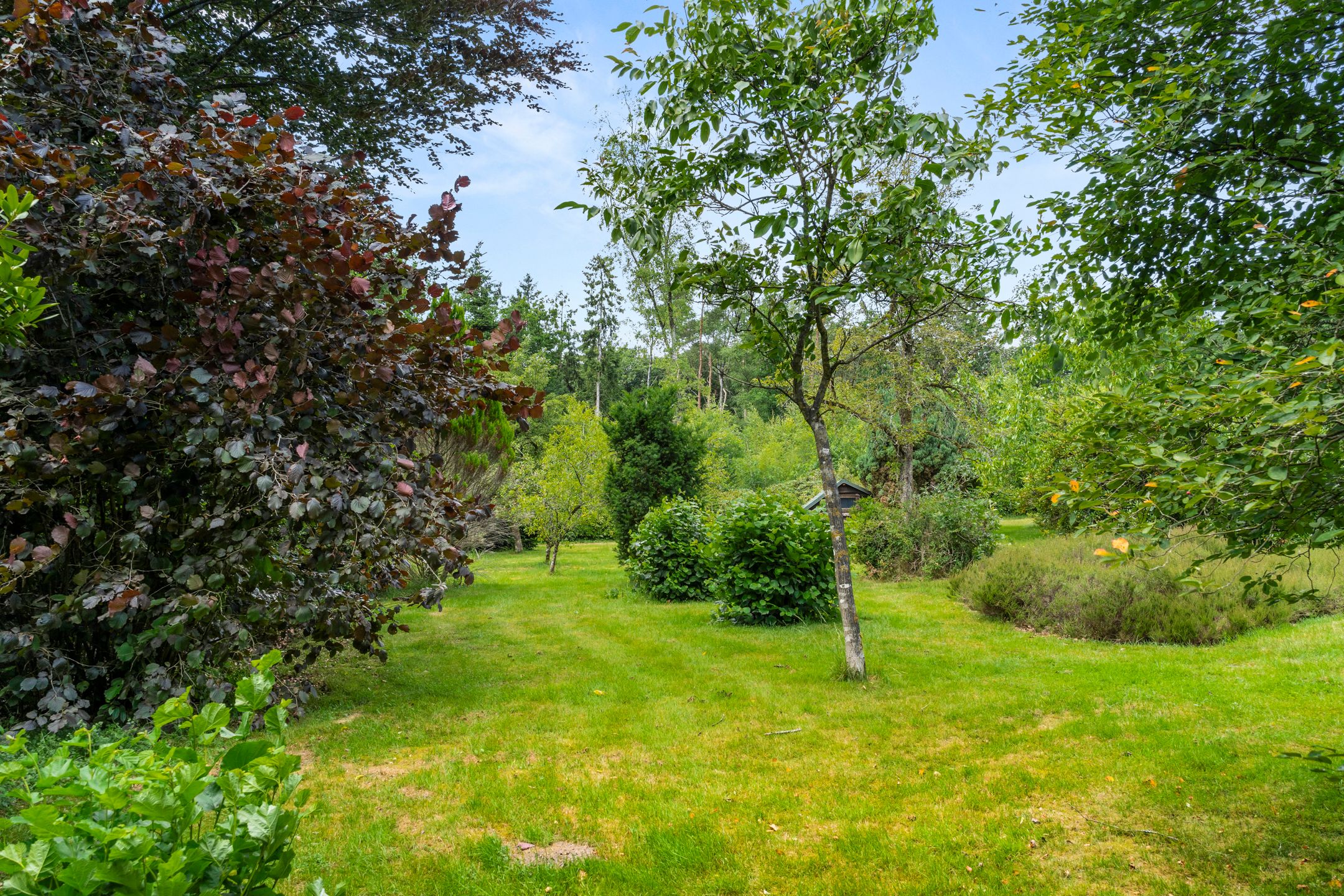 Foto 18 van Hertogweg 11-A