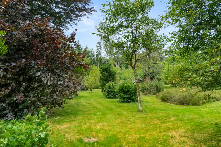 Photo 18 of Hertogweg 11-A