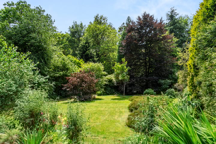 Photo 46 of Hertogweg 11-A