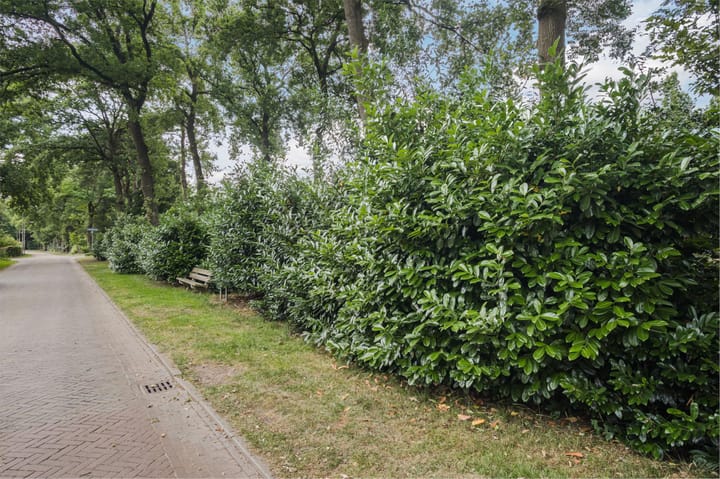 Foto 54 van Hogeweg 15