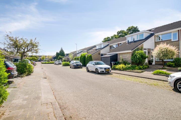 Foto 2 van de Hild 31