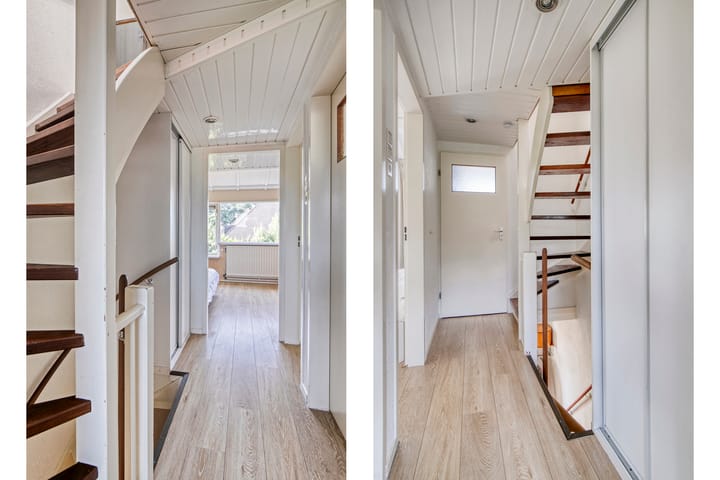 Foto 17 van de Hild 31