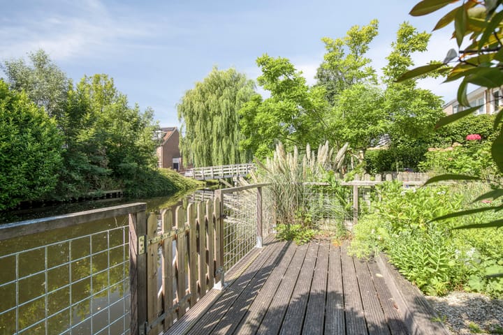 Foto 37 van de Hild 31