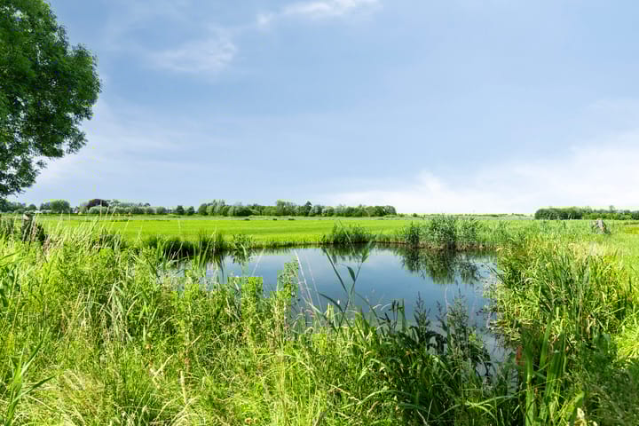 Foto 44 van de Hild 31