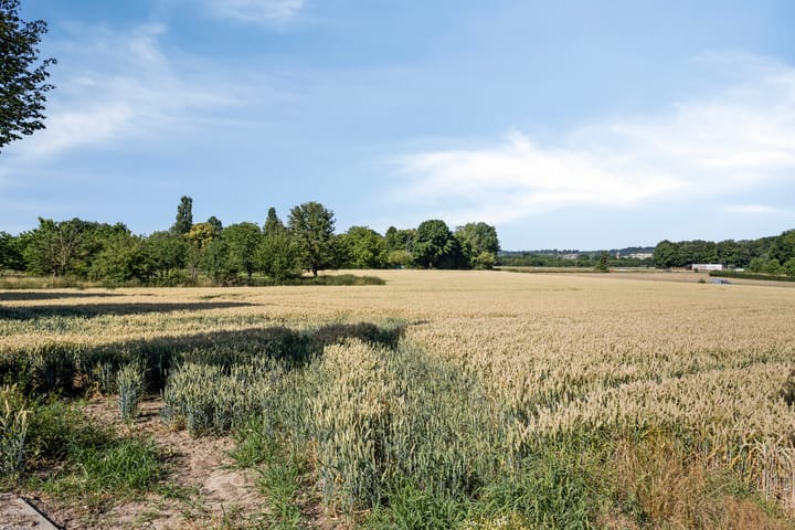 Photo 39 of Rijksweg 224-B