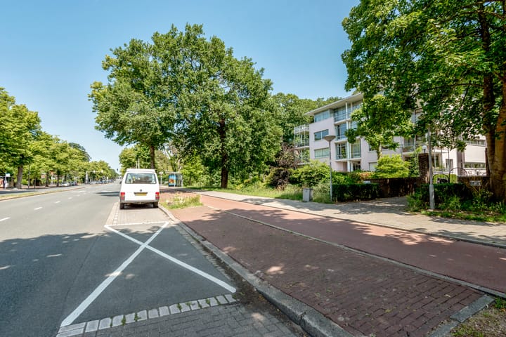 Foto 30 van Van Alkemadelaan 119