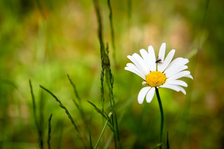 Foto 27 van Kattenbergweg 1-55