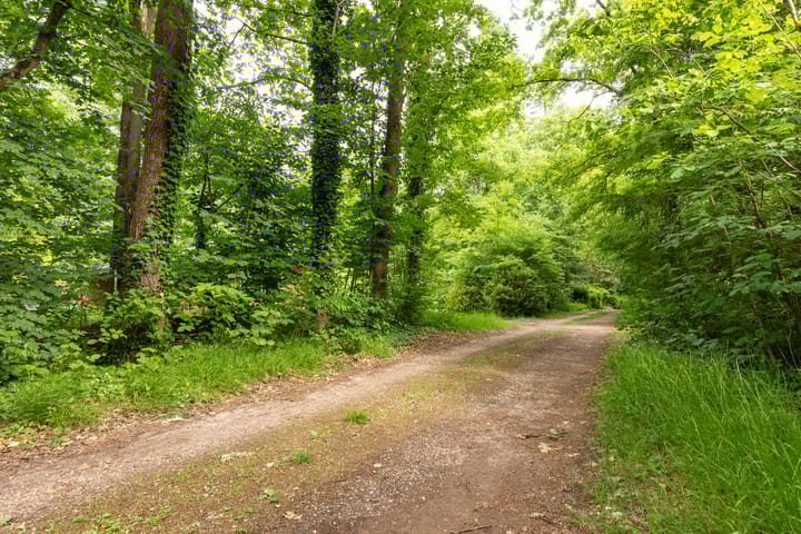 Foto 36 van Kattenbergweg 1-55