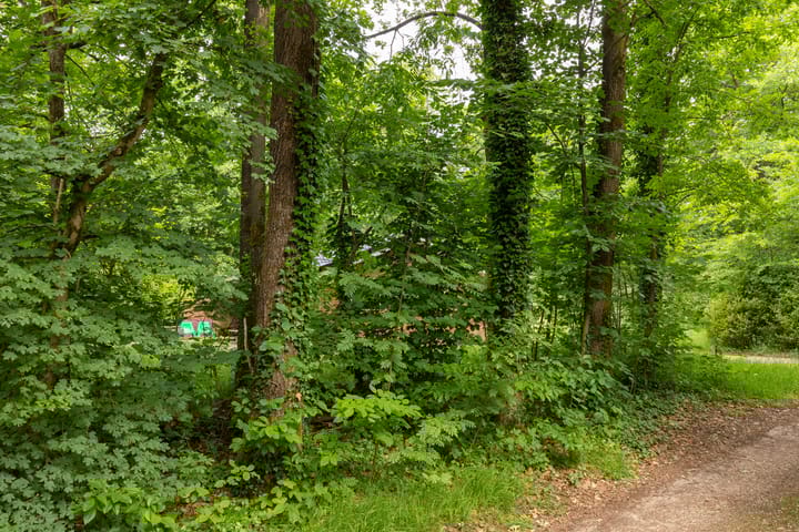 Foto 35 van Kattenbergweg 1-55