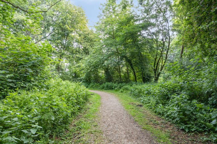 Foto 33 van Burgemeester D. Kooimanweg 825