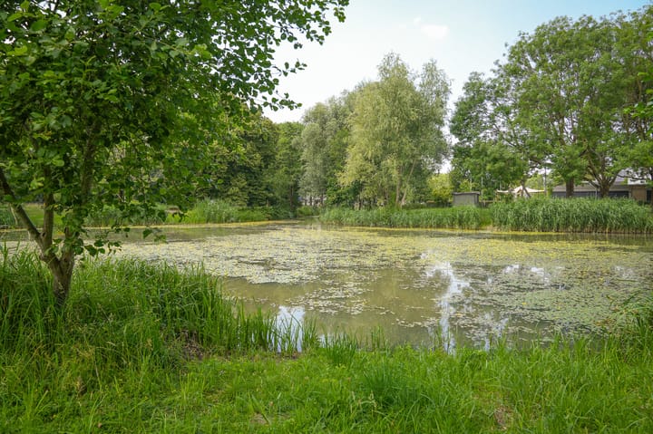 Foto 40 van Andriëtte Peereboom 15