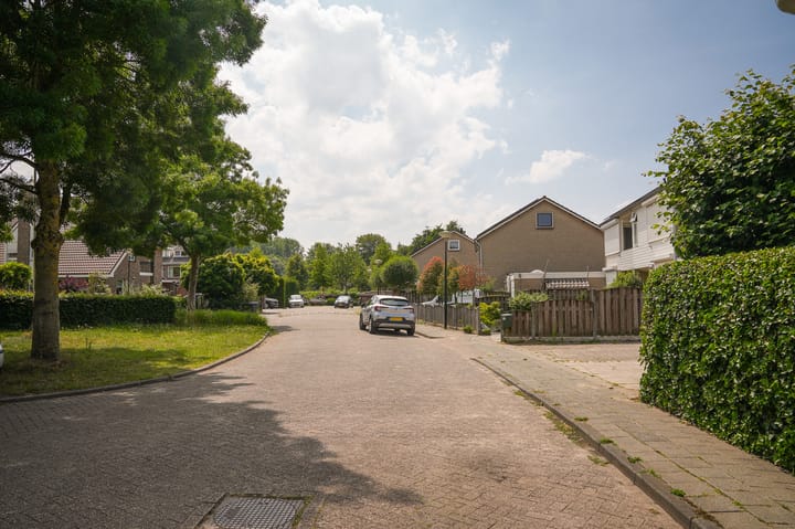 Foto 45 van Andriëtte Peereboom 15