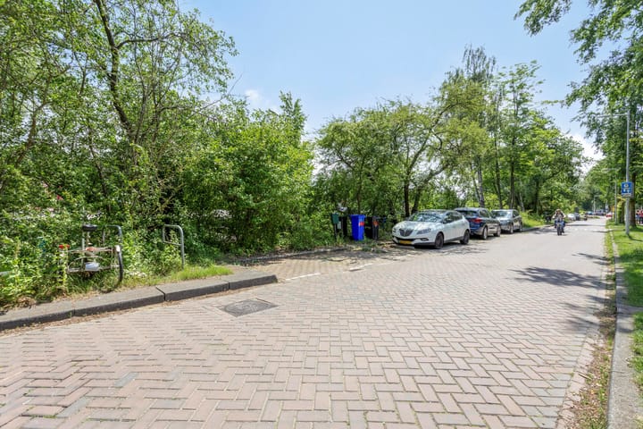 Foto 36 van Amsteldijk 866