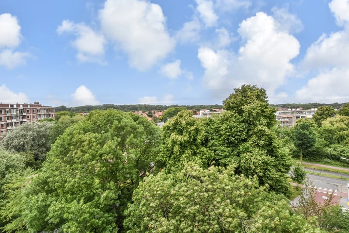 Foto 10 van Stokroosstraat 303