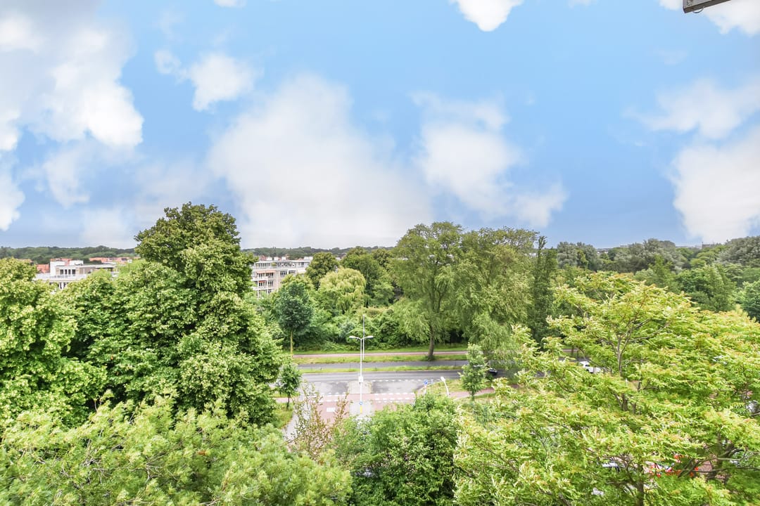 Photo 11 of Stokroosstraat 303