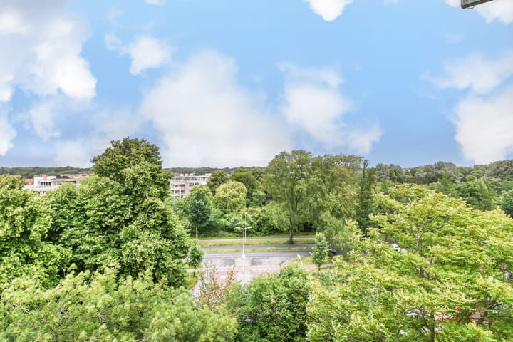 Foto 11 van Stokroosstraat 303