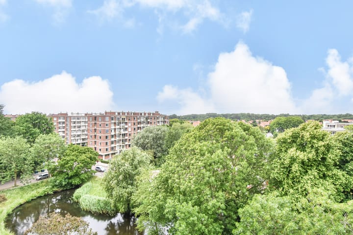 Foto 30 van Stokroosstraat 303