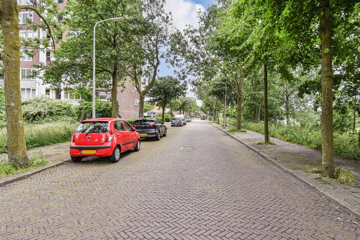 Foto 48 van Stokroosstraat 303