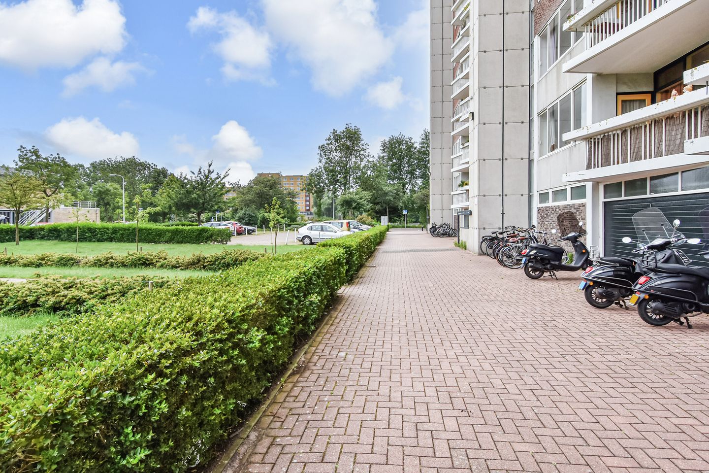 Photo 49 of Stokroosstraat 303