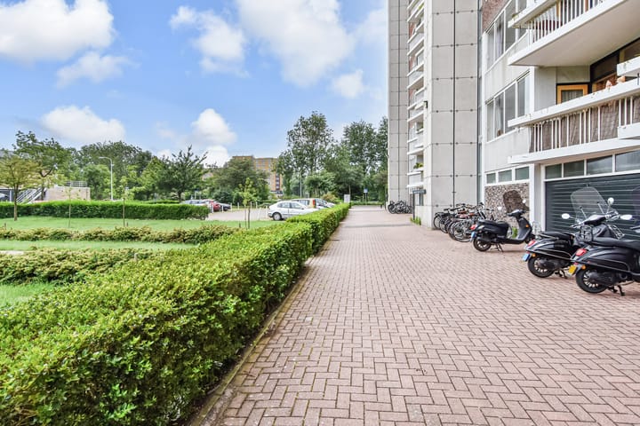 Foto 49 van Stokroosstraat 303