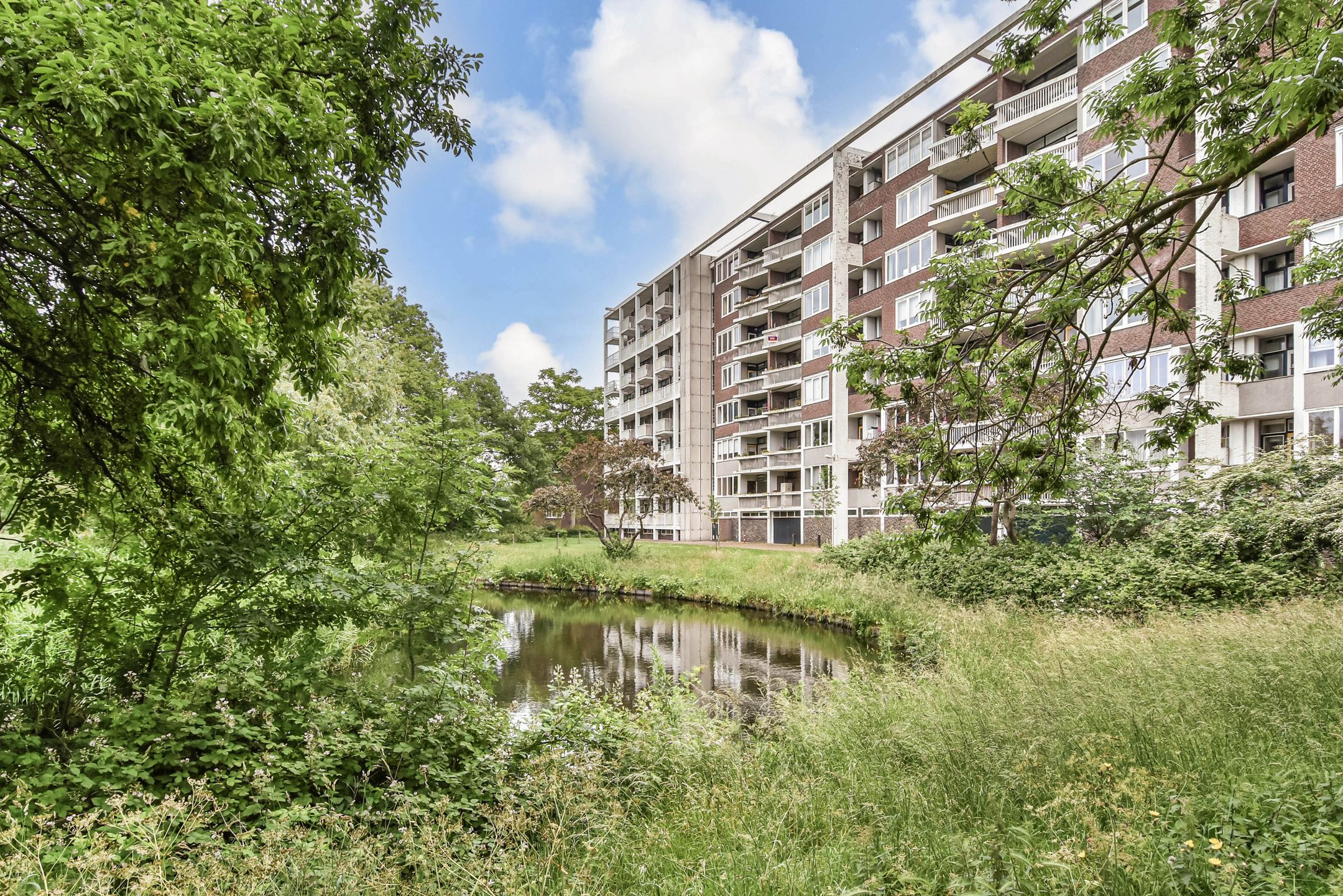 Photo 51 of Stokroosstraat 303