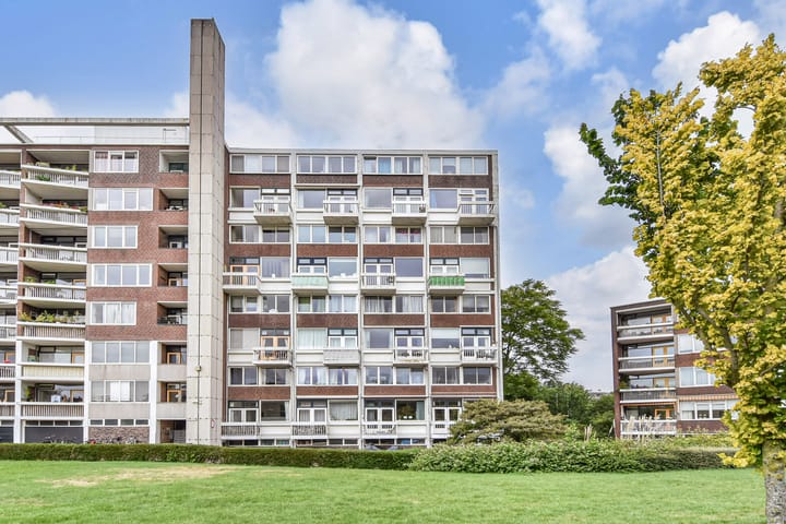 Foto 53 van Stokroosstraat 303