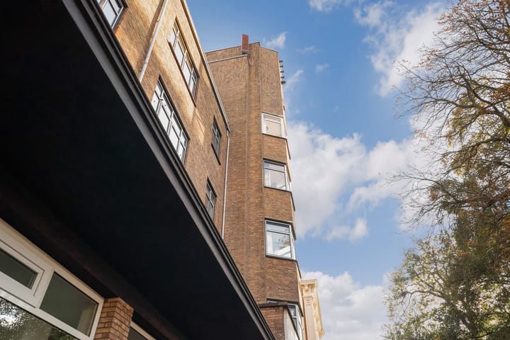 Photo 6 of Anna Paulownastraat 117-9