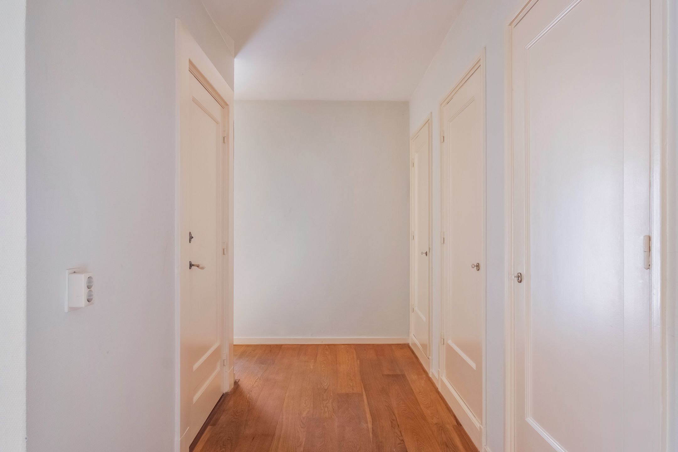 Foto 36 van Anna Paulownastraat 117-9