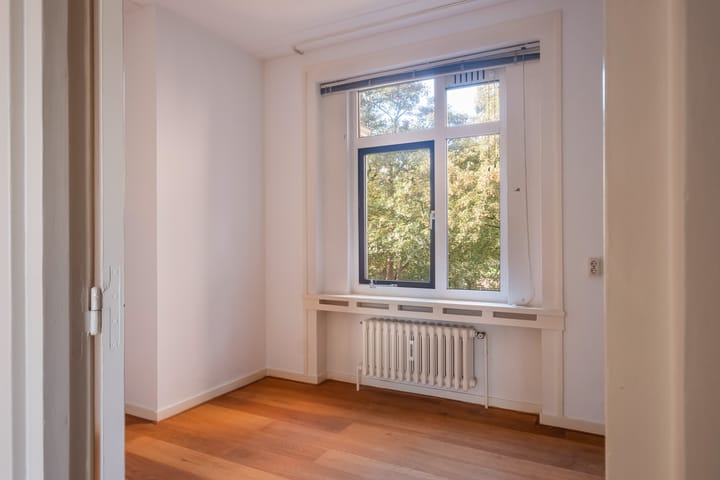 Photo 38 of Anna Paulownastraat 117-9