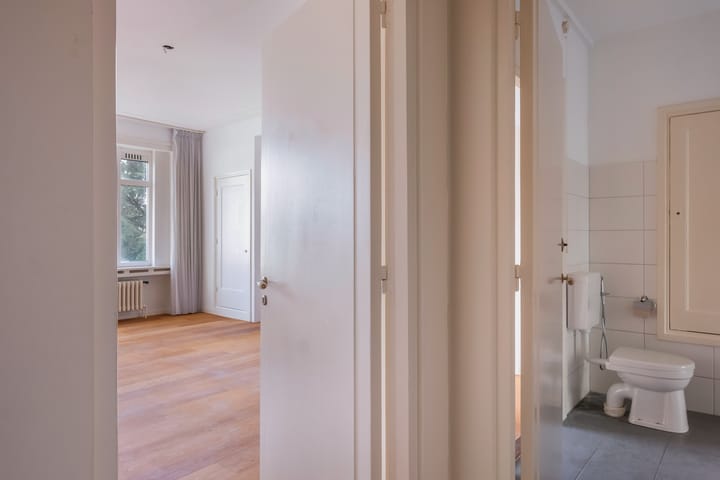 Photo 39 of Anna Paulownastraat 117-9