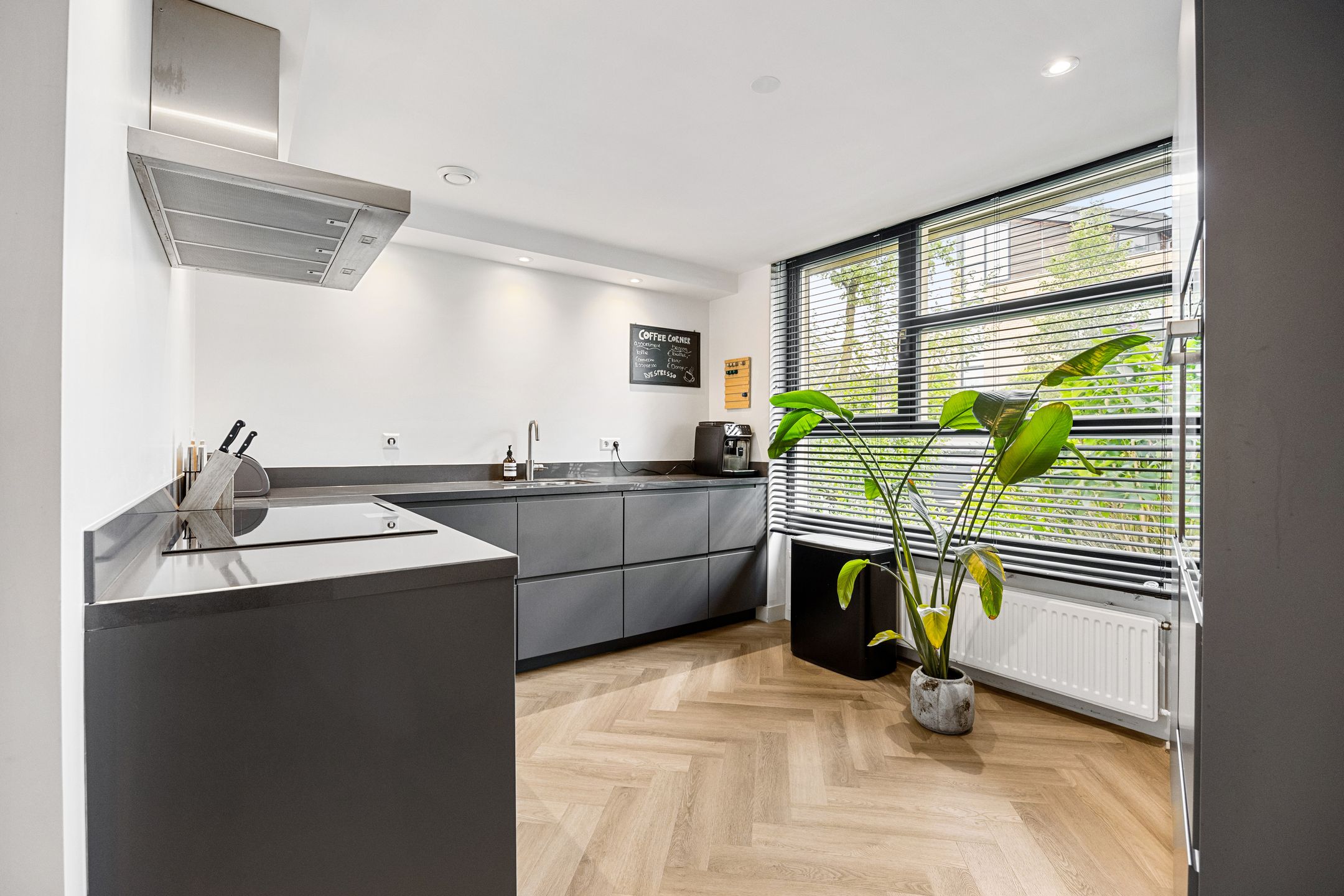 Foto 3 van Kamille 4