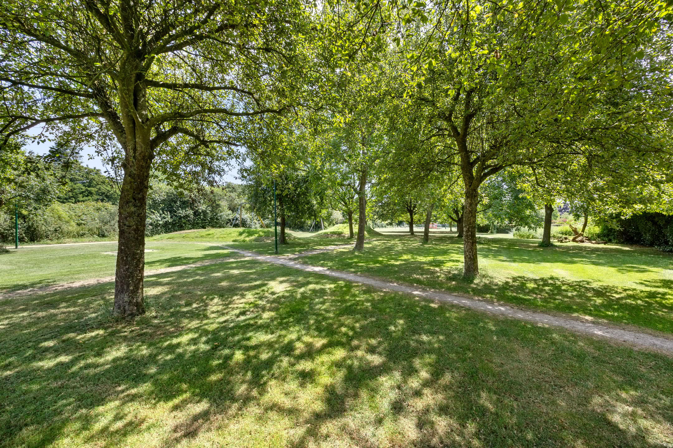 Foto 33 van Kamille 4