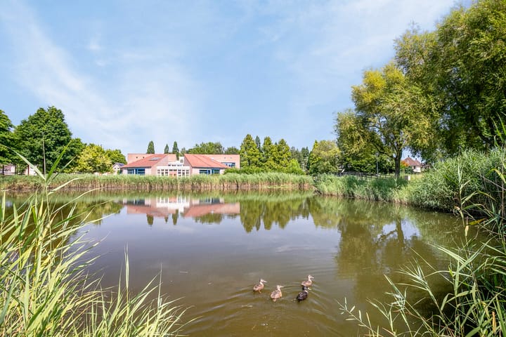 Foto 8 van Korte Loef 34