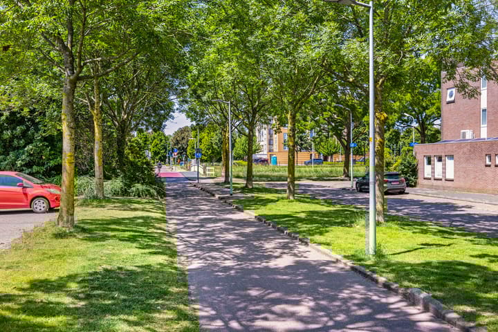 Foto 30 van Rosa Spierstraat 22