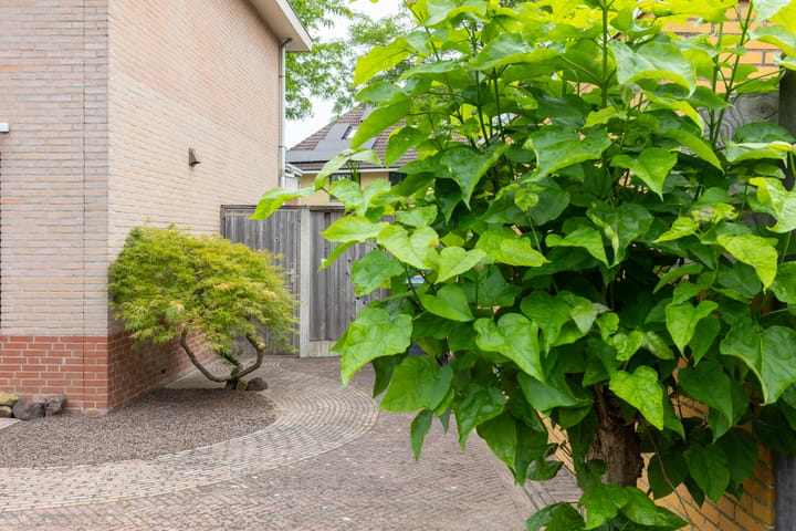 Foto 40 van W. Dreeslaan 1