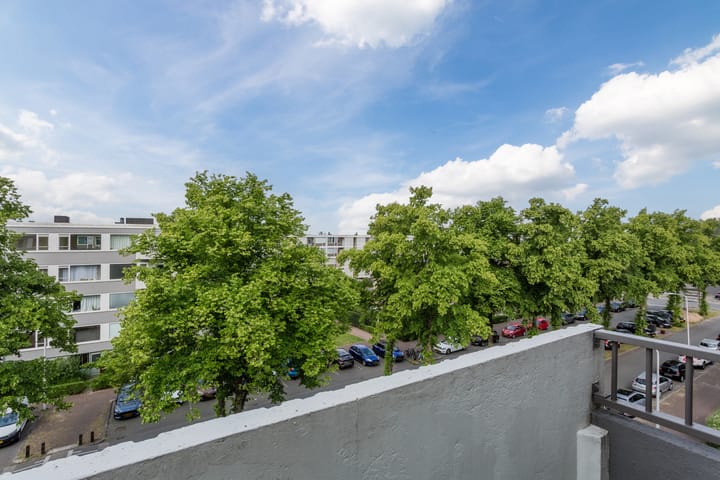 Foto 12 van Marshalllaan 316